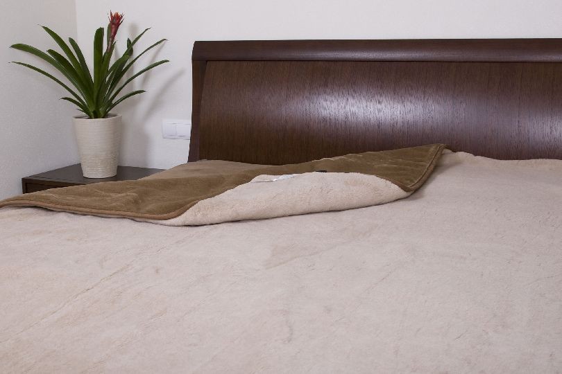 POŚCIEL Z WEŁNY WIELBŁĄDZIEJ CAMEL CLASSIC 200x200