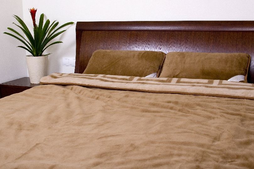 POŚCIEL Z WEŁNY WIELBŁĄDZIEJ CAMEL CIEMNY GREKA 160x200 + PODKŁAD