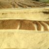 KOŁDRA Z WEŁNY MERYNOS + CAMEL WOOLSTAR 200x200
