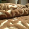 POŚCIEL Z WEŁNY CAMEL WOOLSTAR + MERYNOS 140x200 + PODKŁAD