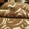 POŚCIEL Z WEŁNY CAMEL WOOLSTAR + MERYNOS 140x200 + PODKŁAD