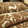 POŚCIEL Z WEŁNY CAMEL WOOLSTAR + MERYNOS 140x200 + PODKŁAD