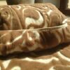 POŚCIEL Z WEŁNY CAMEL WOOLSTAR + MERYNOS 140x200 + PODKŁAD