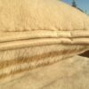 PODUSZKA WEŁNIANA 45X75 CAMEL CAPPUCCINO GREKA