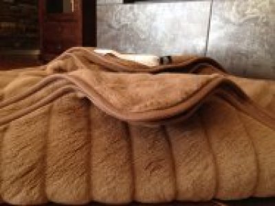 zdjecie-glowne-3021 KOŁDRA Z WEŁNY WIELBŁĄDZIEJ CAMEL PASY 140x200