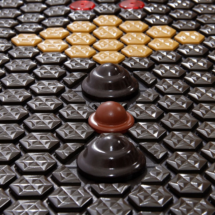 Mata Turmalinowa 50x100 cm z ceramiki turmalinu Hexagon CERAMIC + PHOTON - 306 sztuk Turmalinu + 12 Photon + 3 K - Super Jakość Ceramiki Turmalinu - Sprzedaż wyłącznie dla Firm w Hurcie przy zakupie minimum 4 sztuk cena za sztukę