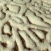 POŚCIEL Z WEŁNY KASZMIR TRAPPATONI LUX 160X200 + PODKŁAD